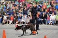 Polizeishow   034